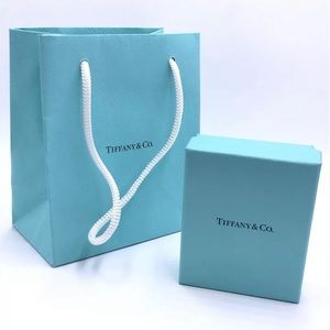 New Empty Authentic Tiffany & Co. Gift Bag & Box